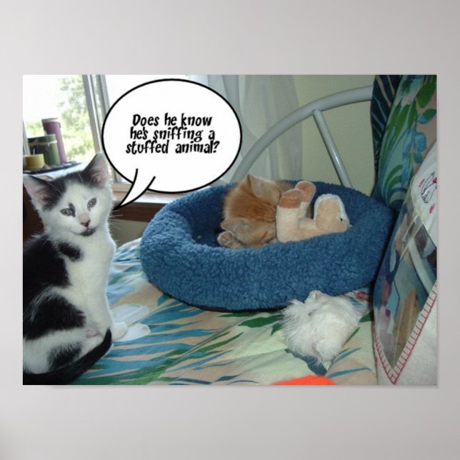 Poster Chat noir et blanc (Devant)