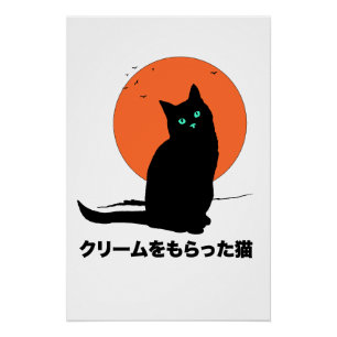 Poster Chat qui a obtenu la crème