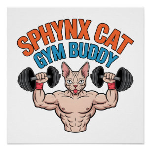 Poster Chat Sphynx Copain de Gym Illustration de Dessin A