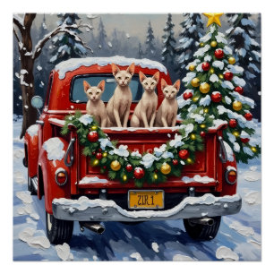Poster Chat Sphynx Noël Camion Rouge Fêtes