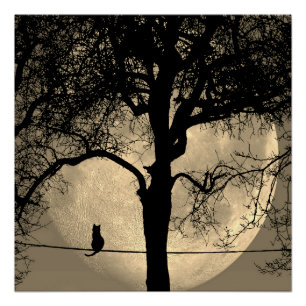 Poster Chat sur une Pleine lune de fil