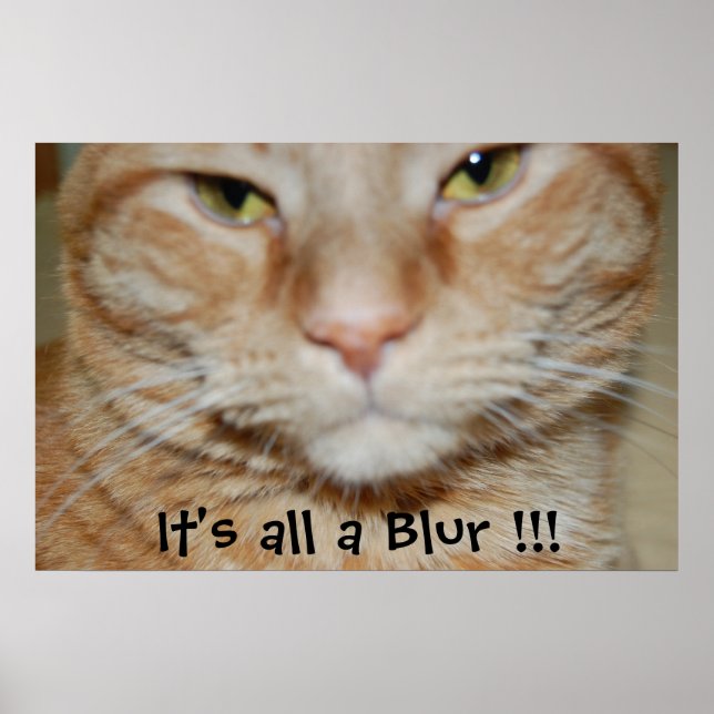 Poster Chat Tabby Orange (Devant)