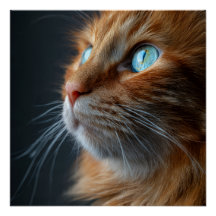 Chat tigré orange gingembre Portrait de style vint