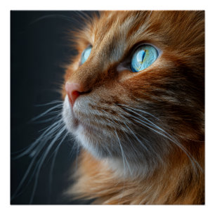 Poster Chat tigré orange gingembre Portrait de style vint