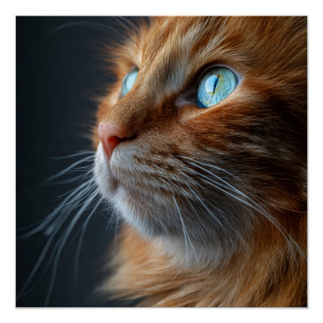 Poster Chat tigré orange gingembre Portrait de style vint (Devant)