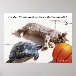 POSTER CHAT, TORTUE ET BASKETBALL