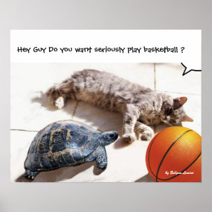 POSTER CHAT, TORTUE ET BASKETBALL