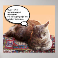 CHAT TURC EN MÉDITATION TRANSCENDANTALE