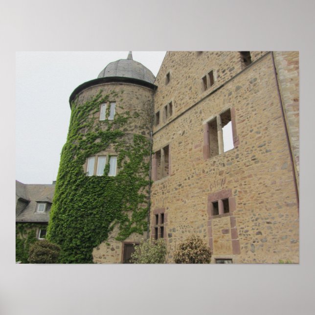 Poster Château de la Beauté de Dormir (Devant)