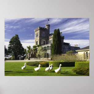 Poster Château Larnach, péninsule d'Otago, Dunedin,