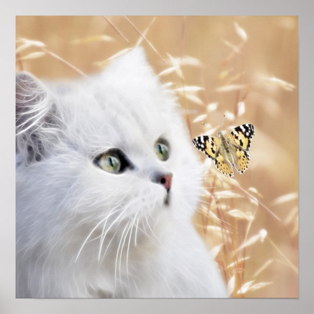 Poster Chaton blanc et papillon (Devant)