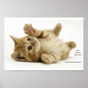 Poster Chaton de productivité (Kitteh)