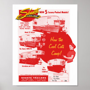 Poster Chats de cool de camping de Shasta - annonce