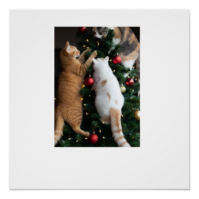Poster Chats grimpant dans l'arbre de Noël  (Devant)