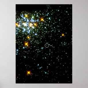 Poster Chaud blanc nain brille dans Young Star Cluster NG