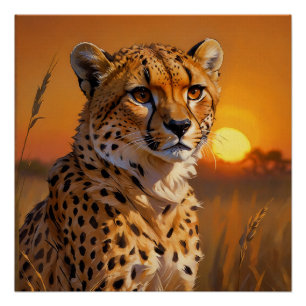 Poster Cheetah africain au coucher du soleil