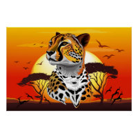 Cheetah African Feline Wild Animal