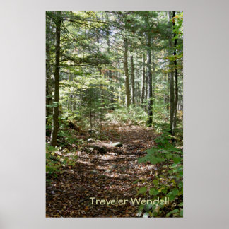 Poster Chemin Adirondack