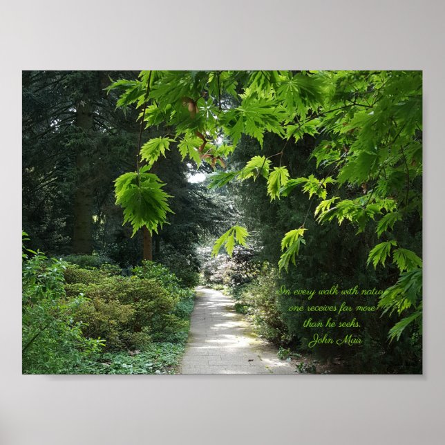 Poster Chemin dans la nature Les arbres verts Citation in (Devant)