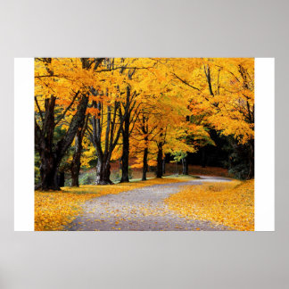 Poster Chemin d'automne