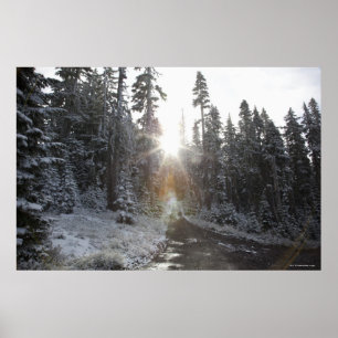 Poster Chemin de terre de Milou entrant dans le soleil