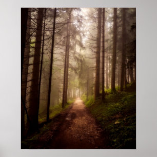 Poster Chemin du bois de Misty