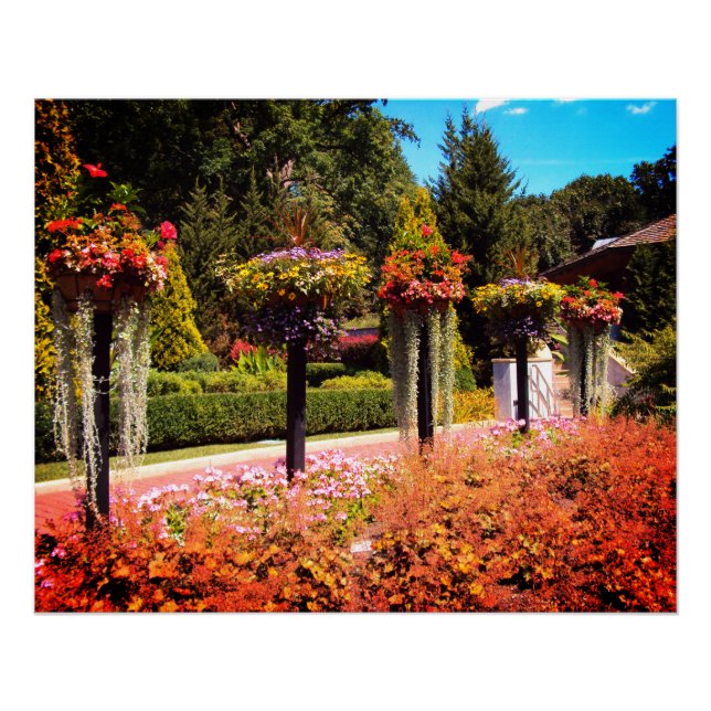 Poster Chemin du jardin (Devant)