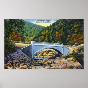 Poster Chemin Mohawk Vue du pont de Cold River