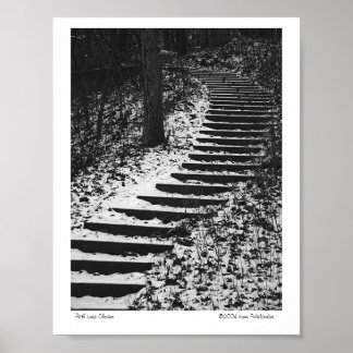 Poster Chemin moins choisi
