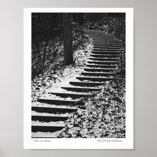 Poster Chemin moins choisi (Devant)