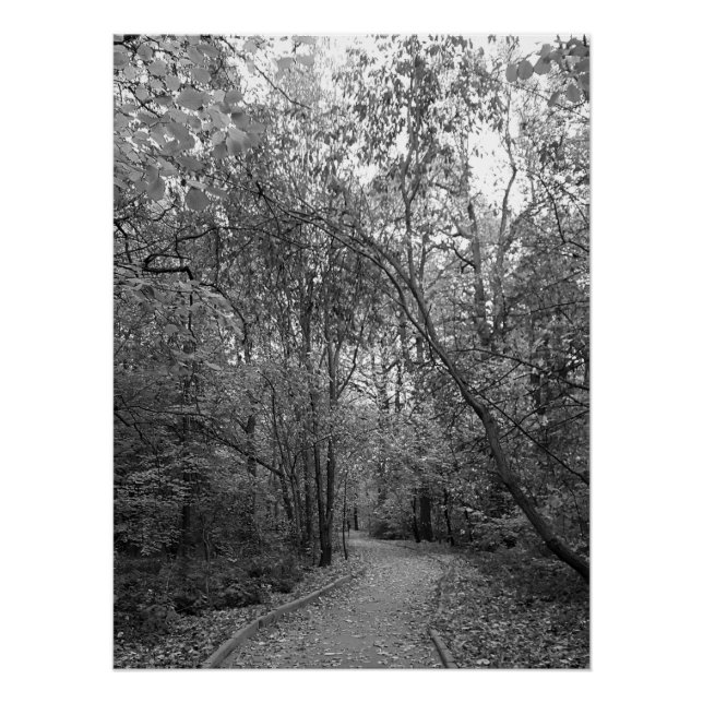 Poster Chemin tranquille de la forêt automnale – Édition  (Devant)