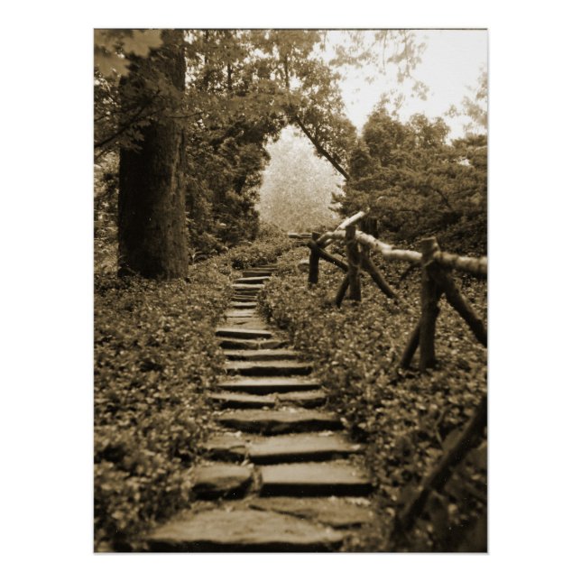 Poster Chemin vers la lumière (Devant)