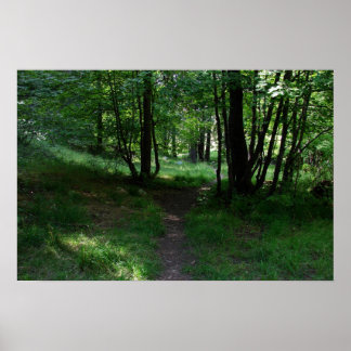 Poster Chemin vert
