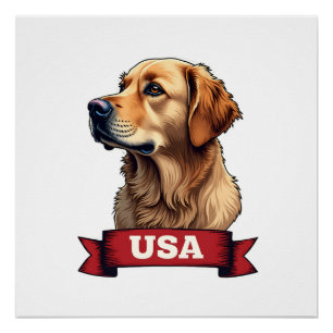 Poster Chemise vintage USA gravure Golden Retriever 4