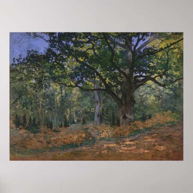 Poster Chêne de Bodmer, Forêt de Fontainebleau, Claude Mo (Devant)