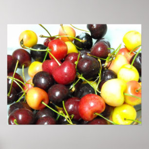 Poster Cherries