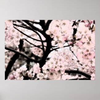 Poster Cherry Blossom édité
