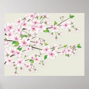 Poster Cherry Blossom Sakura Print
