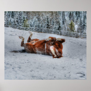 Poster Chestnut Horse Rouler en hiver Photo Neige