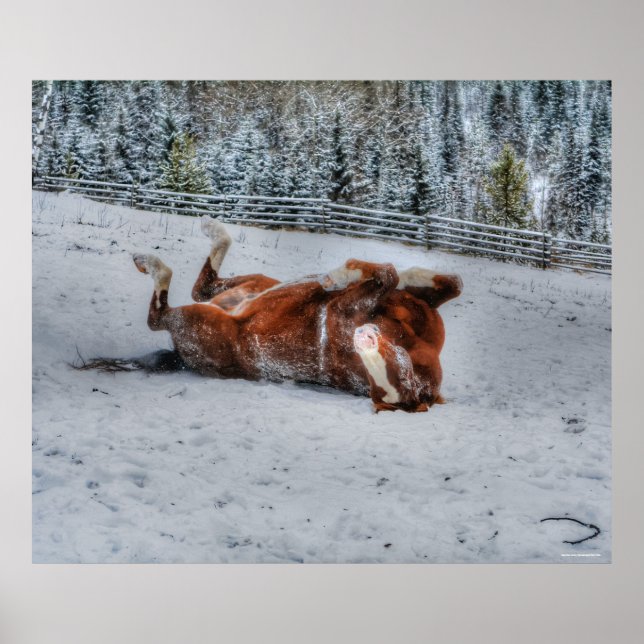 Poster Chestnut Horse Rouler en hiver Photo Neige (Devant)