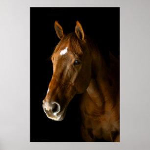 Poster Chestnut Thoroughbred