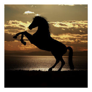 Poster cheval