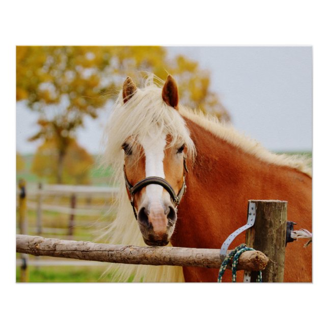 Poster Cheval à la porte (Devant)