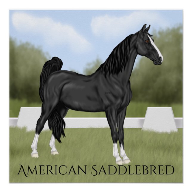 Poster Cheval American Saddle-bred (Devant)