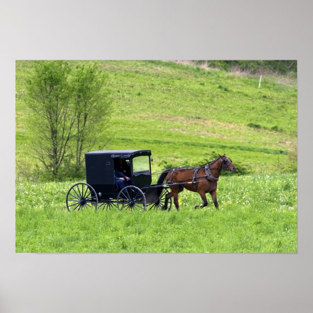 Poster Cheval Amish et buggy près de Berlin, Ohio. (Devant)