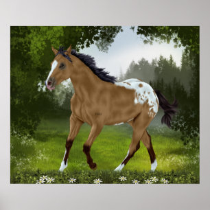 Poster Cheval Appaloosa Buckskin