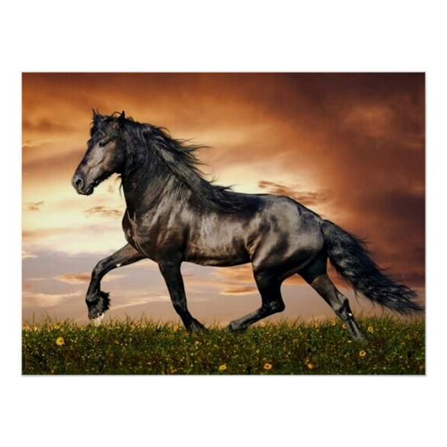 Poster cheval au galop (Devant)