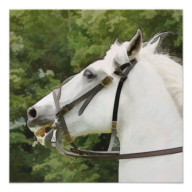 POSTER CHEVAL BLANC (Devant)