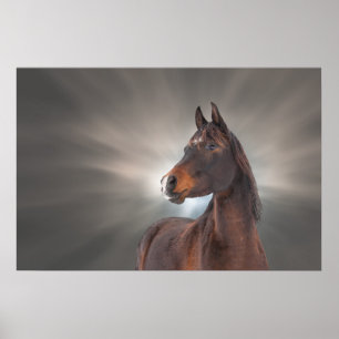 Poster Cheval contre nuages