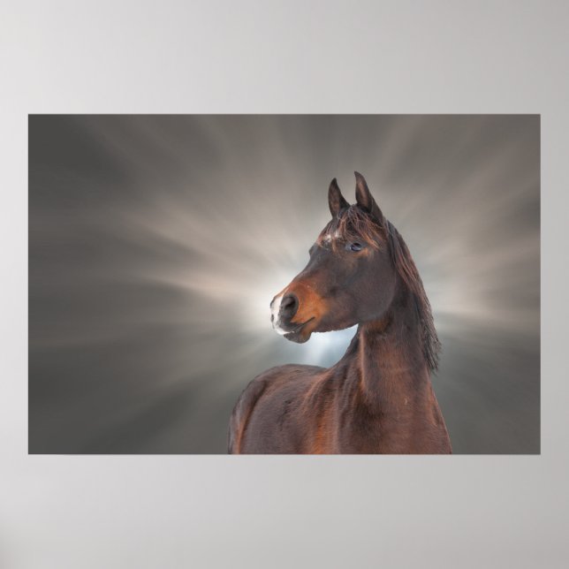 Poster Cheval contre nuages (Devant)